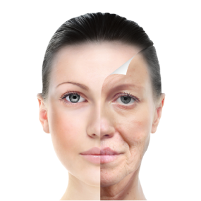 Dermal Fillers Treatment